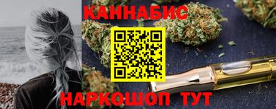 дмт Аргун