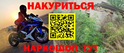 дмт Аргун