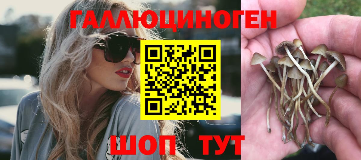 Псилоцибиновые грибы MAGIC MUSHROOMS  Вход с VPN  Артёмовский 