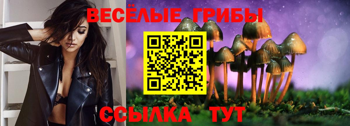 Псилоцибиновые грибы MAGIC MUSHROOMS Артёмовский